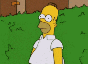 Homer gif hiding 300x218 - Instagram Vs Reality - How to avoid it stealing your life [and money]